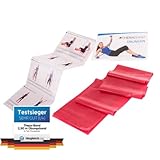 TheraBand Original Fitnessband – 2,5m Resistance Band für Ganzkörpertraining, Kraft & Flexibilität – Ideal für Physiotherapie, Fitness & Sport (2.5 metre, Red/Rot)